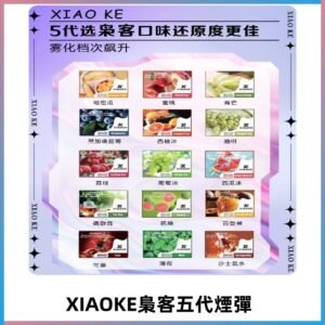 梟客五代煙彈|XIAOKE可替換式電子煙|通用Relx6代|ILIA五代主機